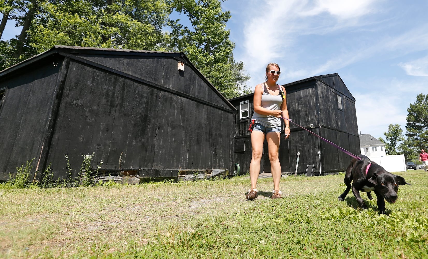 Former Bad Newz Kennels now a refuge for dogs