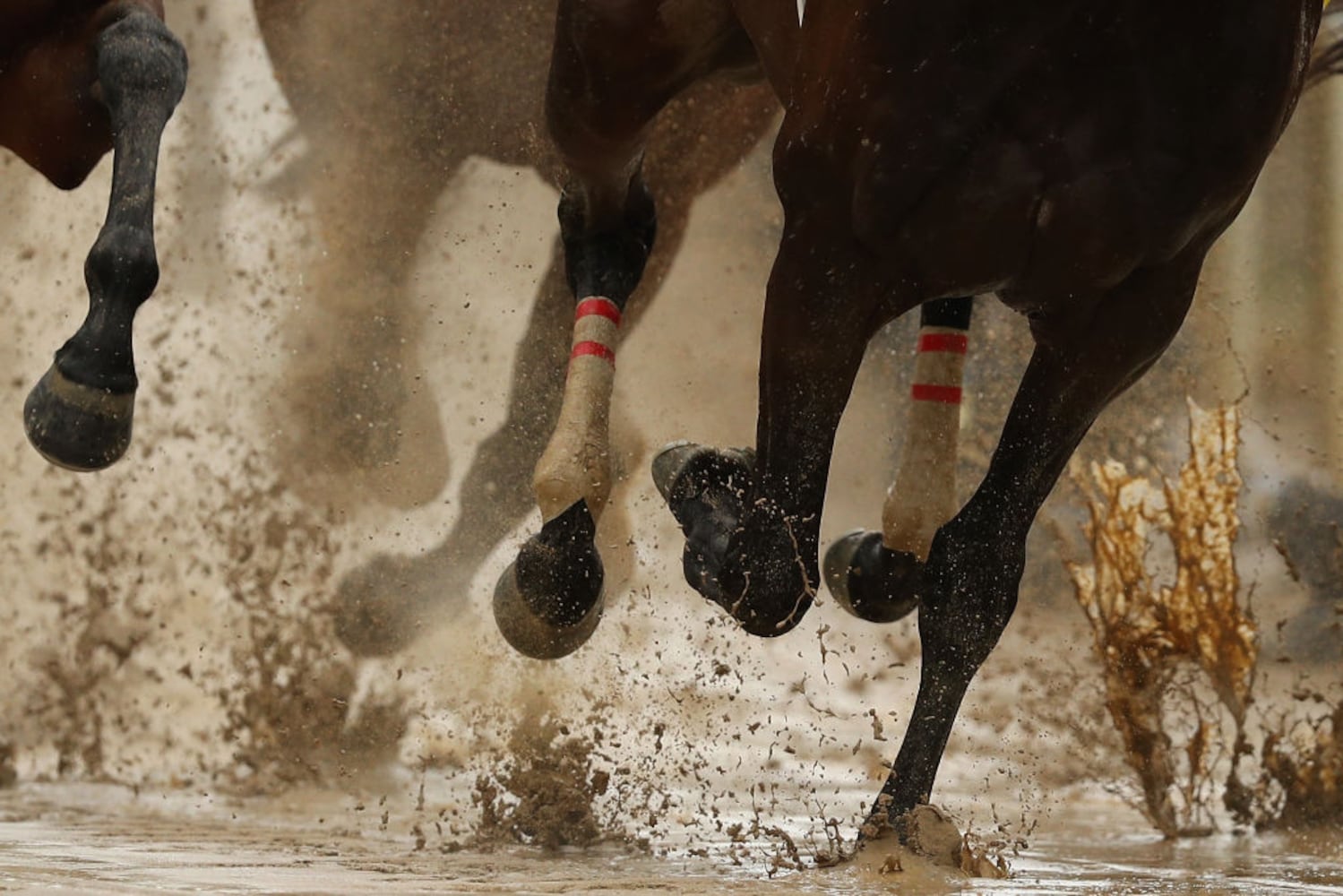 Kentucky Derby 2017: Scenes and sightings