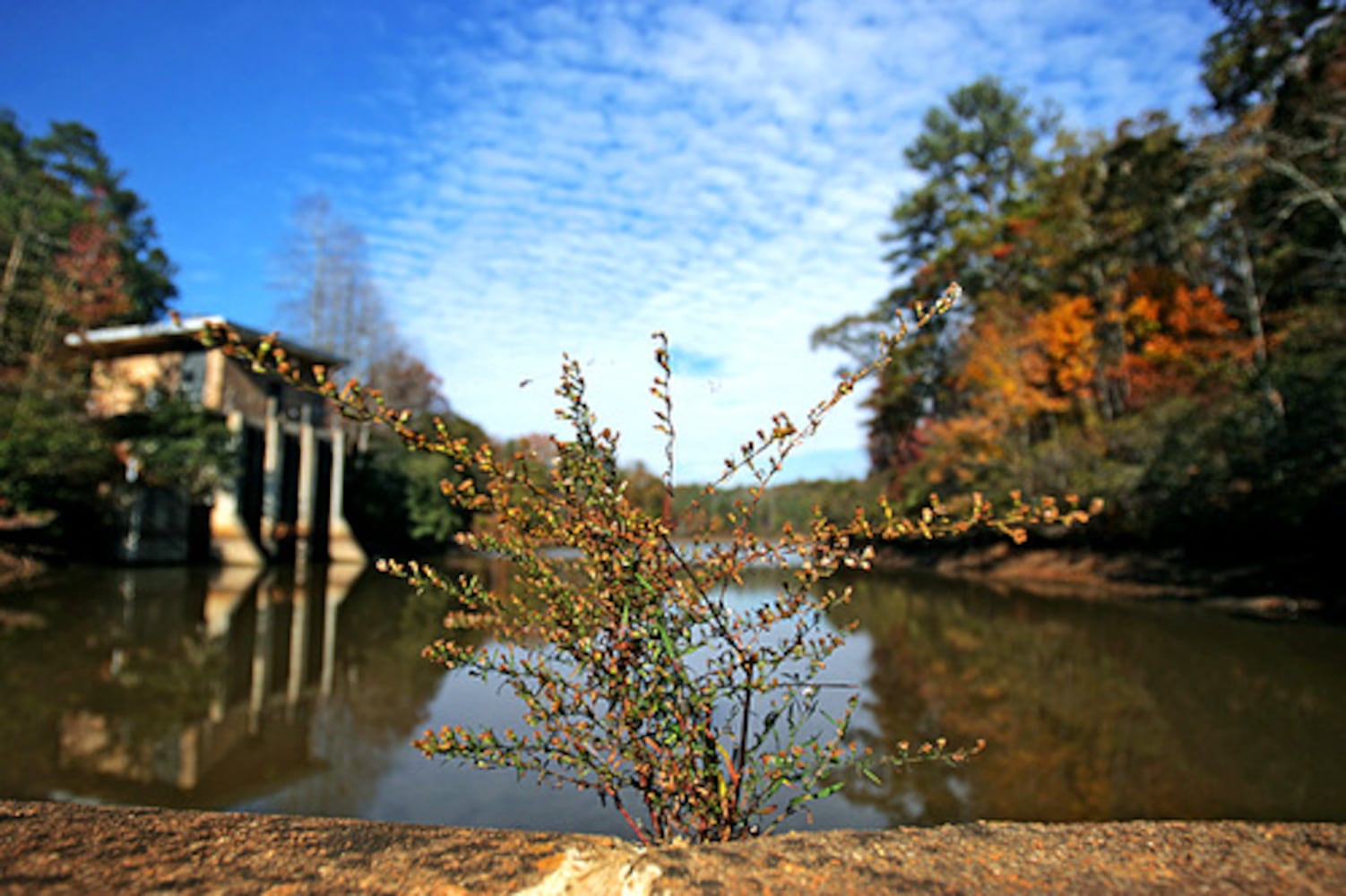 The Dog River Reservoir goes dry