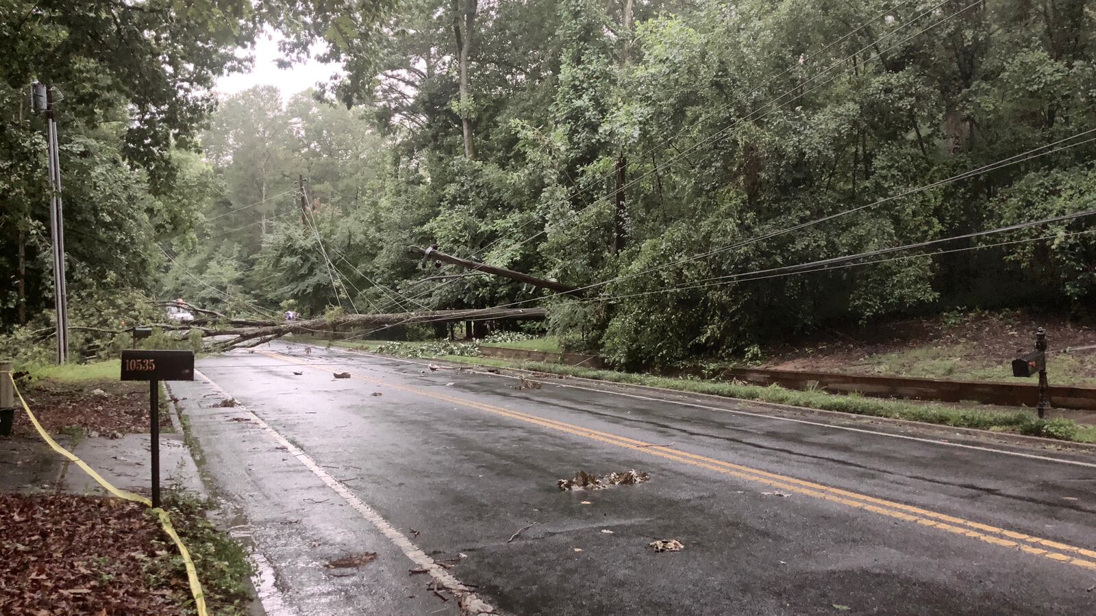 A large tree fell at Shallowford Road in Roswell earlier today. Steven W. Bills said the tree fell near his house and he gave the AJC permission to publish this photo.