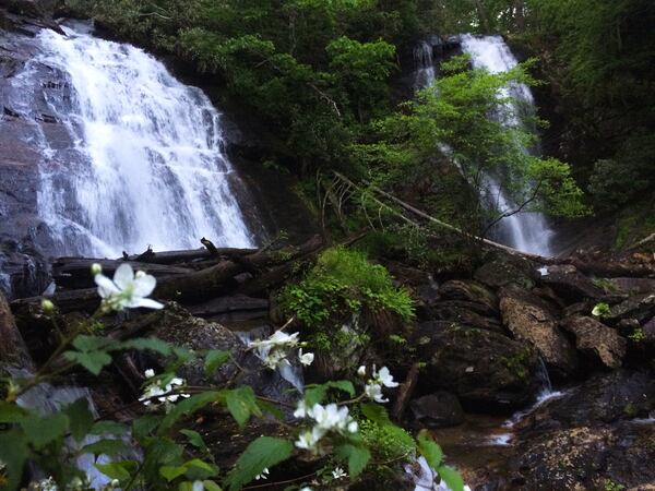 The two waterfalls at Anna Ruby Falls meet and plunge more than 150 feet. 
Courtesy of the Forest Service Chattahoochee-Oconee National Forests.