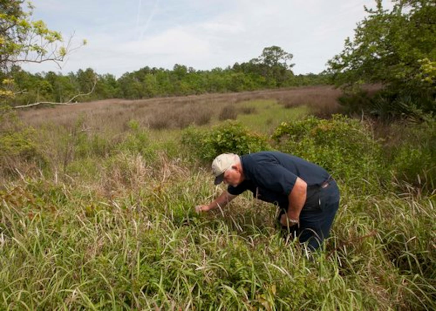 Deepwater Horizon oil spill on the Gulf -- One year later