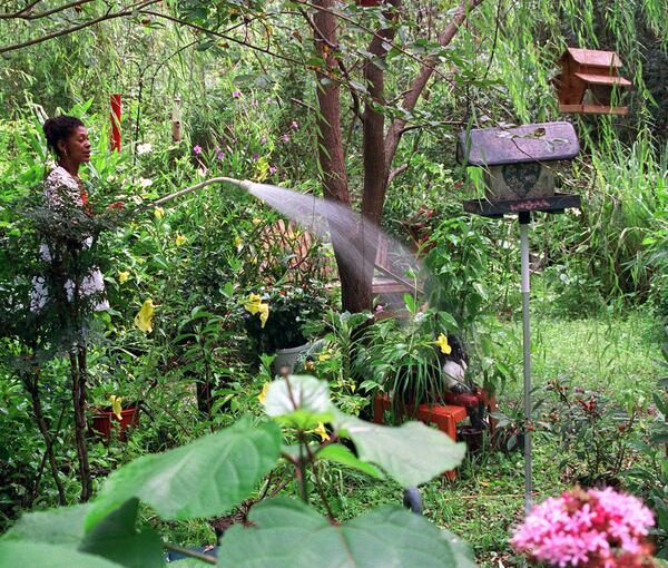 Author Tina McElroy Ansa waters her lush garden on St. Simons Island in August 1997. Photo: Jonee Ansa