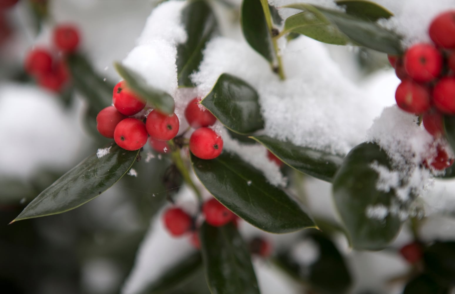 Photos: Winter storm blankets South in snow, ice