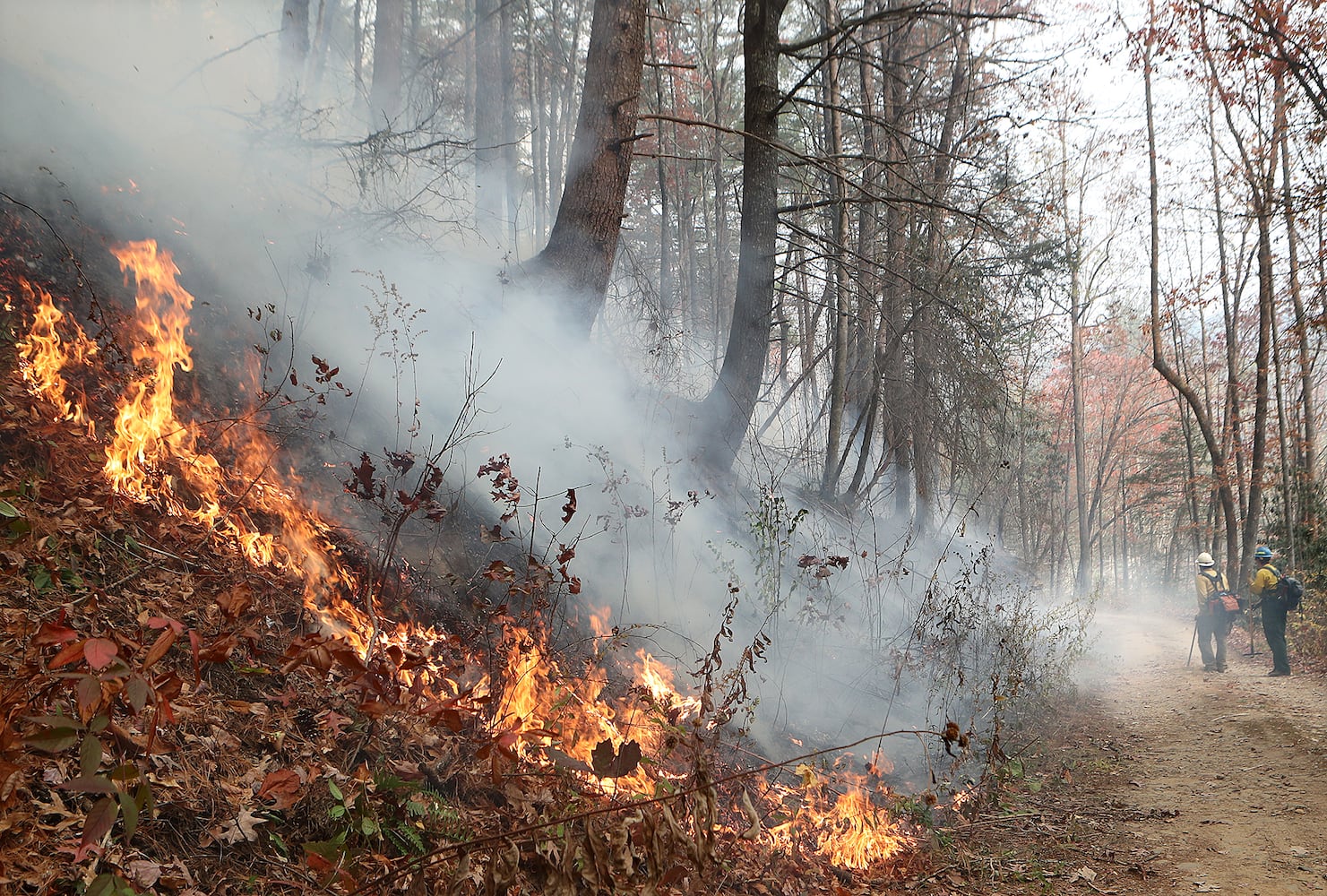 Rock Mountain fire