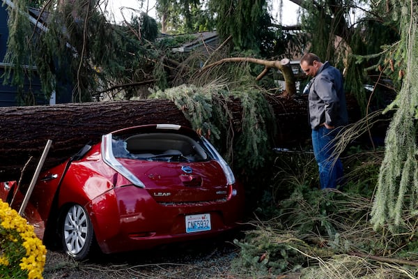 Mason Friedline inspects damage to vehicles from severe weather Wednesday, Nov. 20, 2024, in Seattle. (Jennifer Buchanan/The Seattle Times via AP)