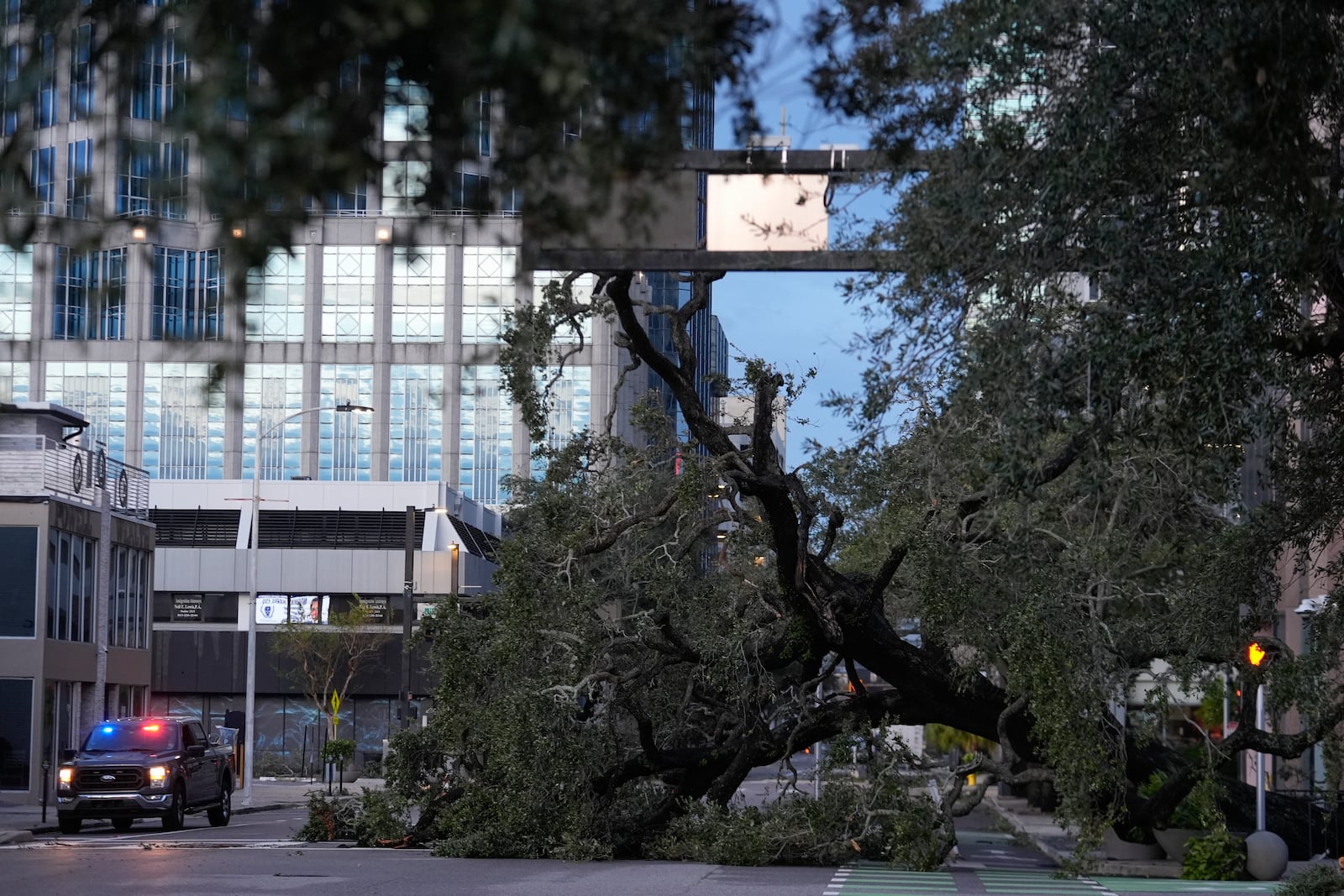 A downed tree lies across a road after the passage of Hurricane Milton, in downtown Tampa, Fla., Thursday, Oct. 10, 2024. (AP Photo/Rebecca Blackwell)