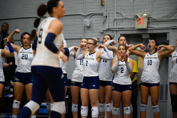 Georgia Tech ladies flex their muscles during the Pittsburgh at GT volleyball game, November 10, 2023 (Jamie Spaar for the Atlanta Journal Constitution)