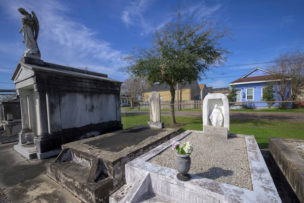 A row of trees planted by SOUL (Sustaining Our Urban Landscape), is visible by a cemetery in the Algiers neighborhood on the west bank of the Mississippi River in New Orleans, Thursday, Feb. 27, 2025. (AP Photo/Matthew Hinton)