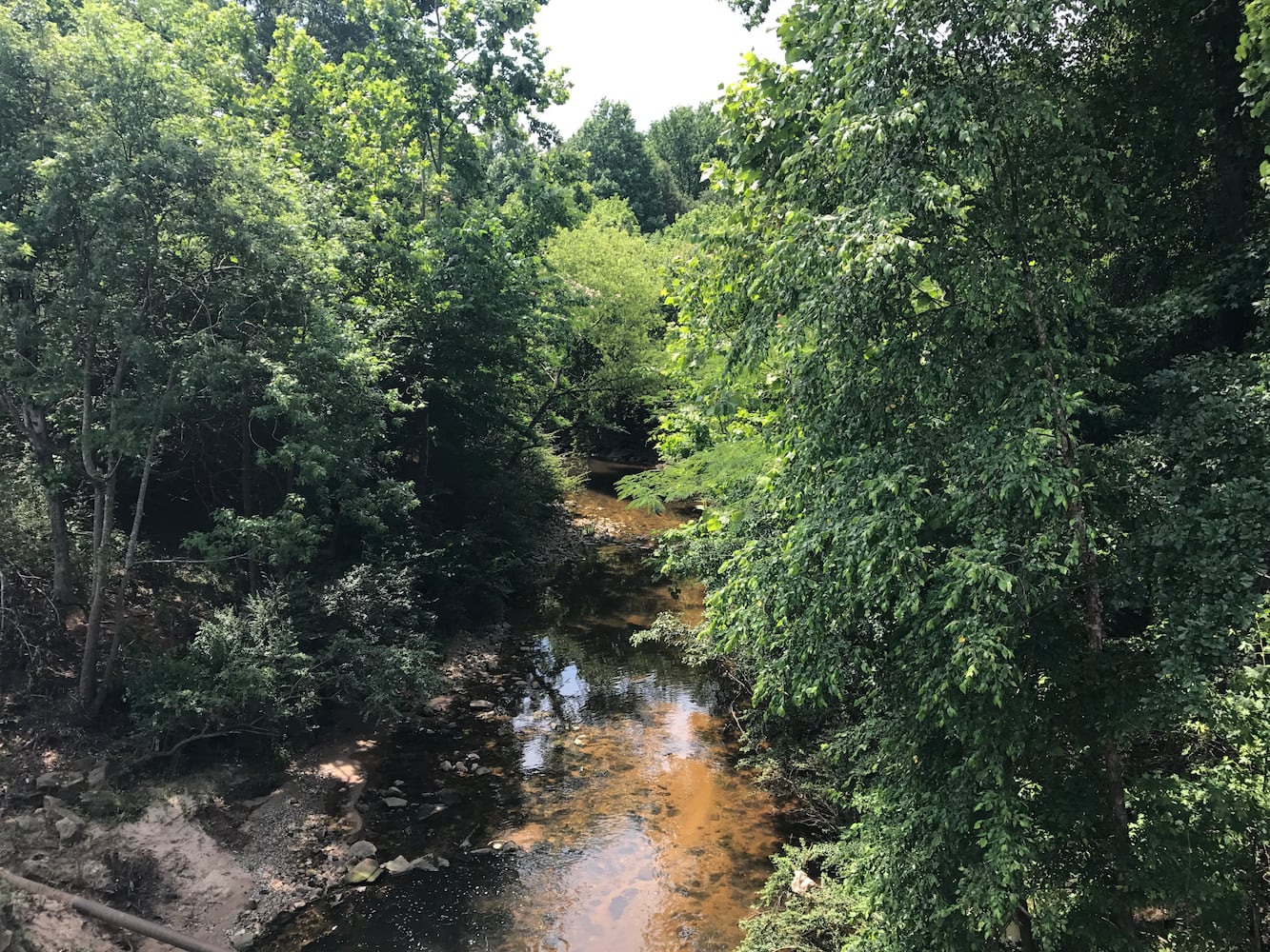 Airport, Delta aid Flint River restoration effort