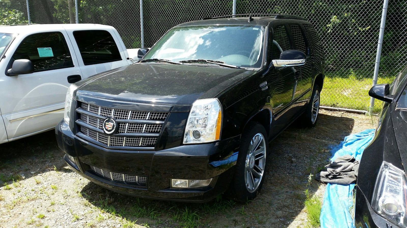 Jeff Carr’s bank account had a negative balance of more than $4000 before he assumed power of attorney for Frances Perkins. He used that authority to steal millions from her to buy automobiles, Rolex watches and entertainment. This is one of the Cadillacs purchased with funds stolen from Perkins.