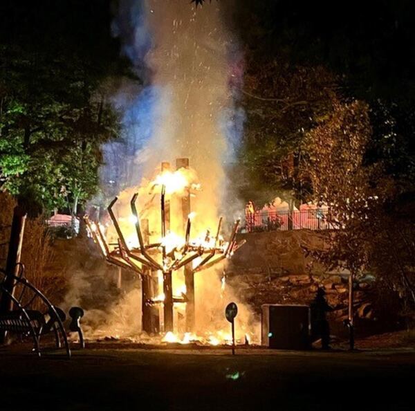 Summer's Treehouse being destroyed by fire last week.