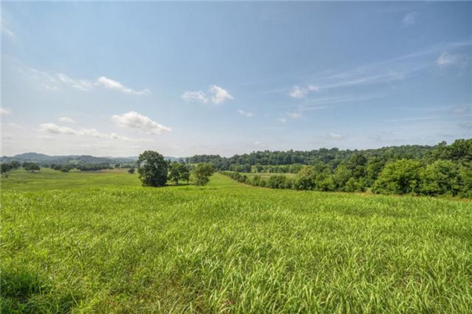 753-acre property includes Antebellum home, log cabin