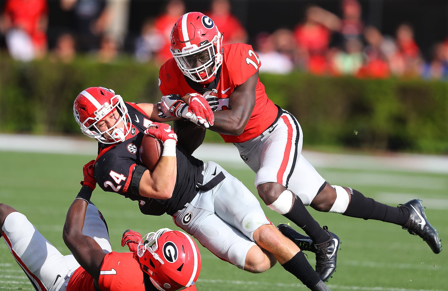 Photos: Georgia G-Day festivities in Athens