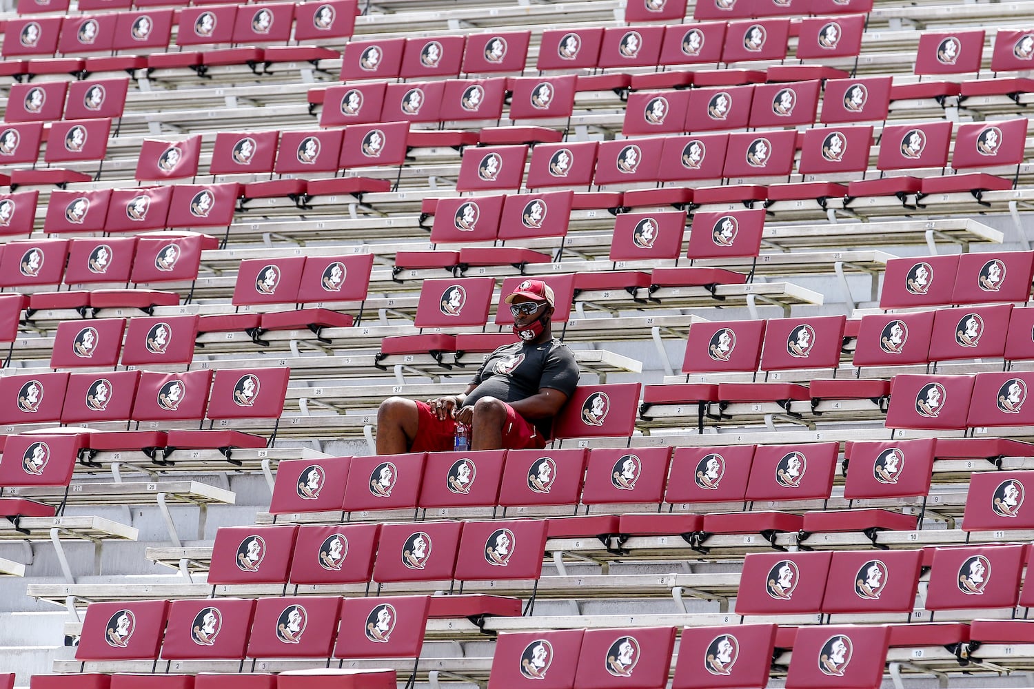 Georgia Tech Yellow Jackets v Florida State Seminoles