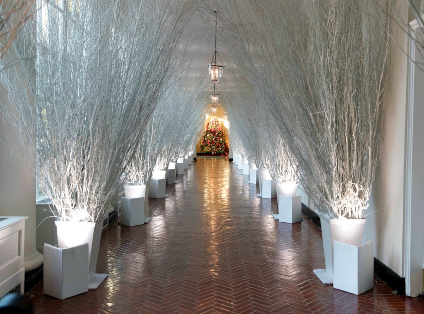 Photos: Melania Trump unveils White House Christmas decorations