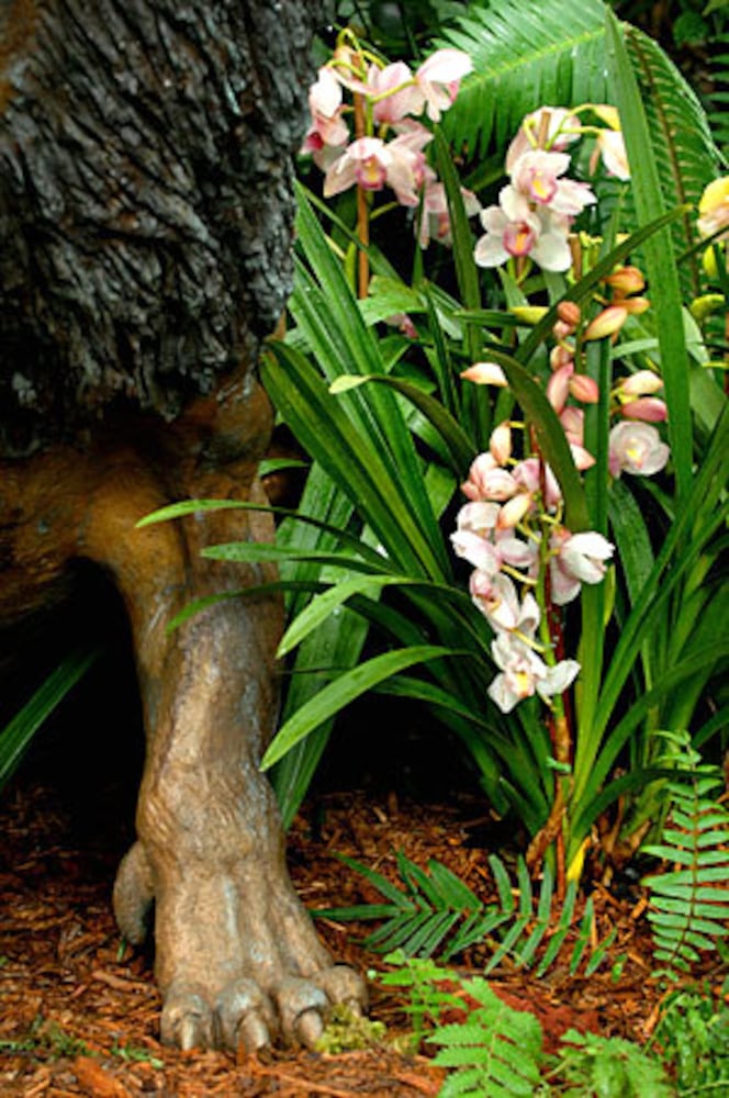 Orchid Daze at the Atlanta Botanical Garden