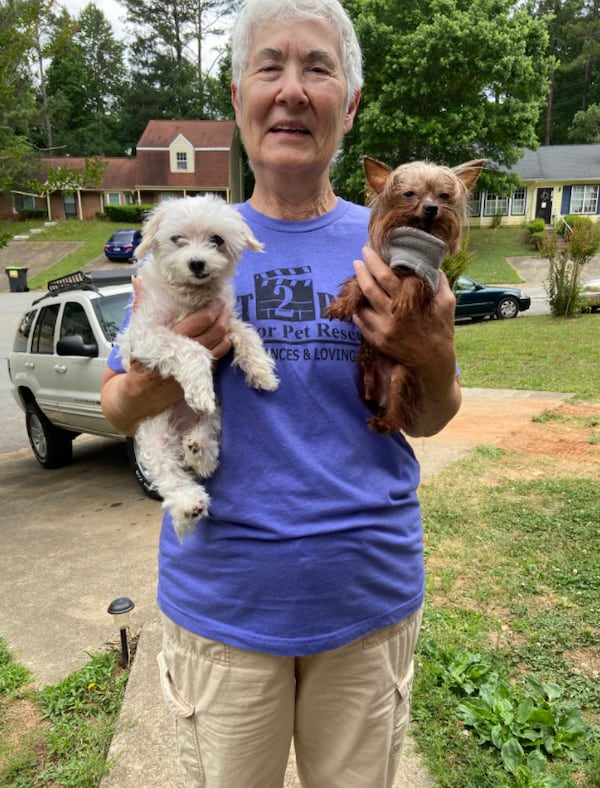 Linda Hunt, founder of Act2Pups, encourages people to consider adopting an older dog. She says the benefit is twofold: The dog can live out the rest of its life in comfort and the owner's life is enriched as well. Courtesy of Linda Hunt