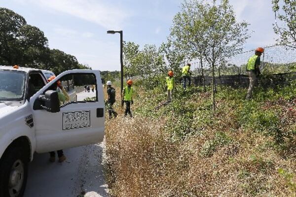 Trees Atlanta workers clear invasive brush along the Beltline’s westside trail in southwest Atlanta. BOB ANDRES /BANDRES@AJC.COM