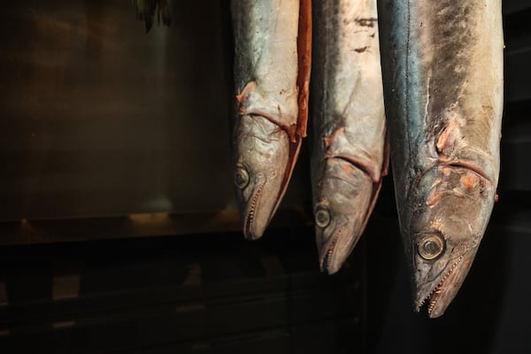 Saba (horse mackerel) and Spanish mackerel from Florida hang in Fawn's dry-aging cabinet. (Courtesy of Morgan Wagoner)
