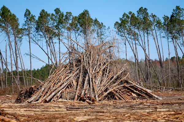 A pile of trees damaged by Hurricane Helene is shown stacked on timberland in Jeff Davis County on Tuesday, March 18, 2025. (Miguel Martinez/AJC)