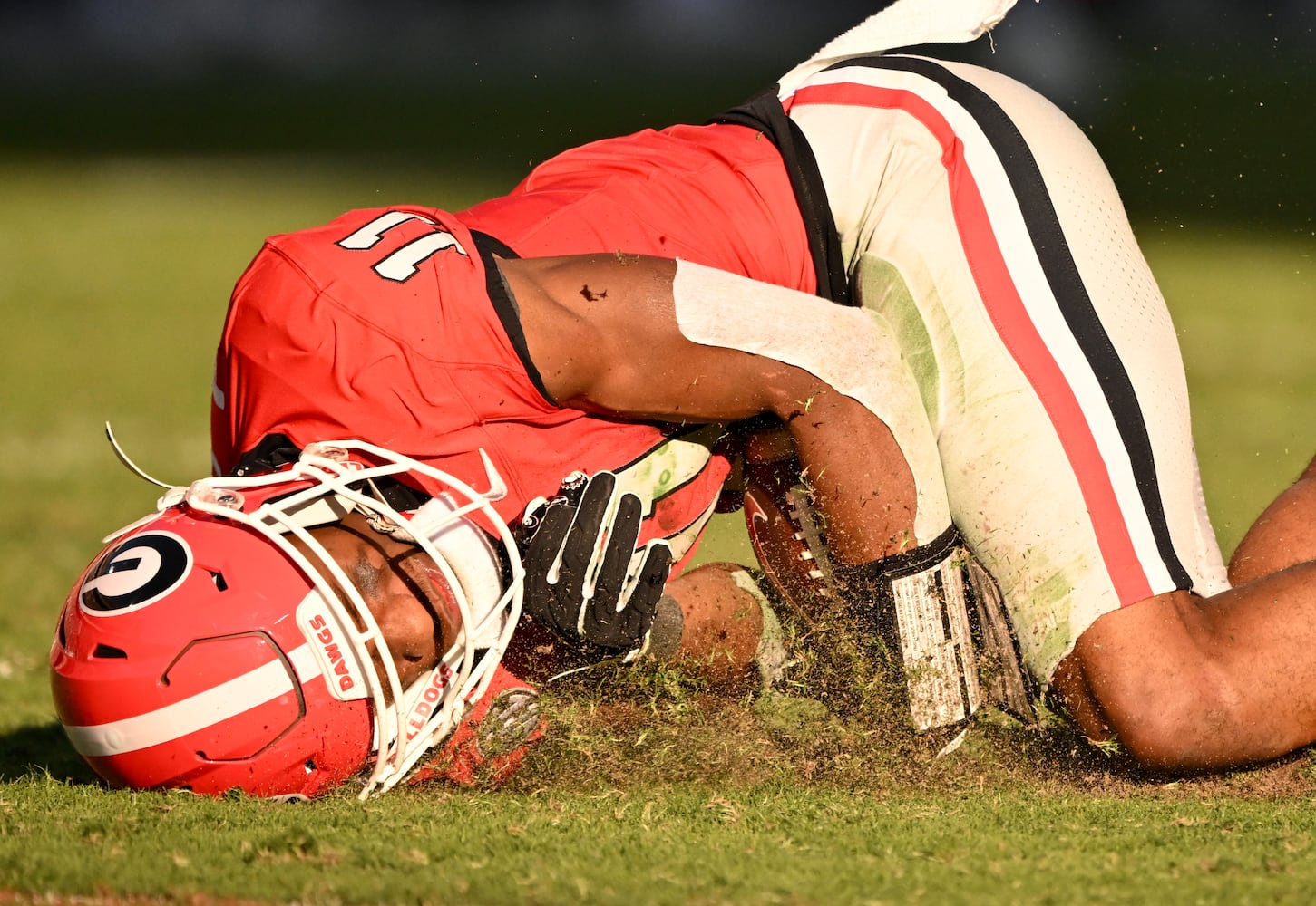 Georgia vs Mississippi State photo