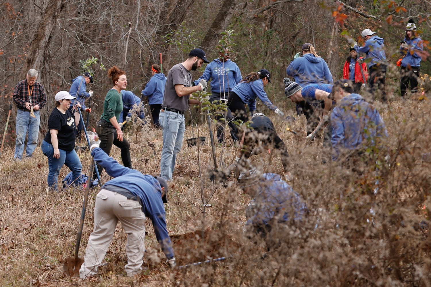 Travis D’Arnaud Plants Trees