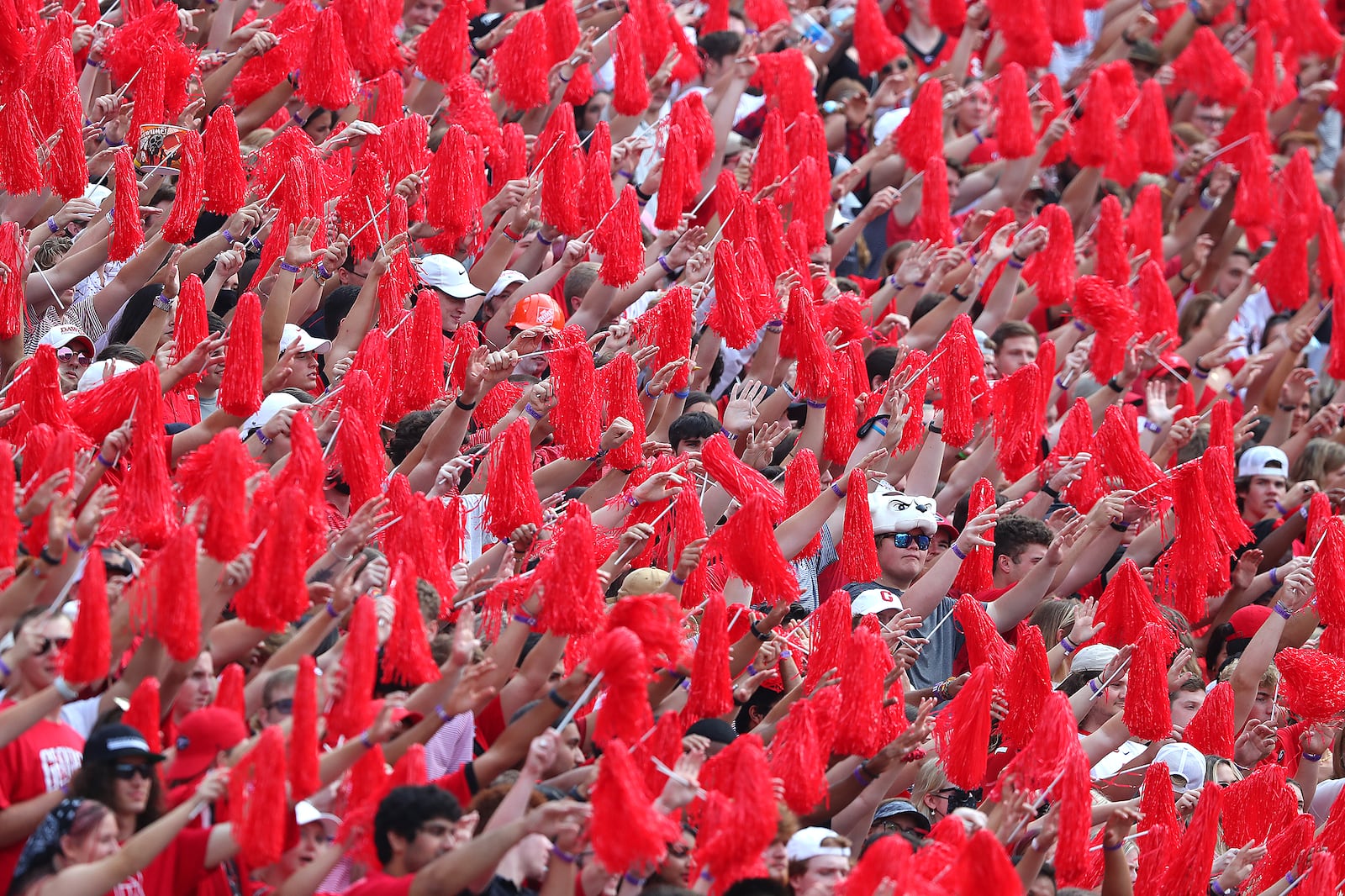 Georgia fans fill the stadium for a top-10 showdown with Arkansas Saturday, Oct. 2, 2021, in Athens. (Curtis Compton / Curtis.Compton@ajc.com)