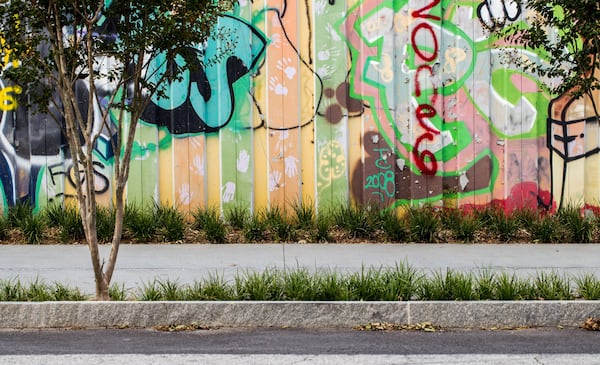 The Eastside Trail of the Beltline at Wylie Street links Kirkwood Ave. and Krog Tunnel to the Beltline.   The path now has lighting, security cameras and infrastructure for future development of the rail system.  (Jenni Girtman / Atlanta Event Photography)