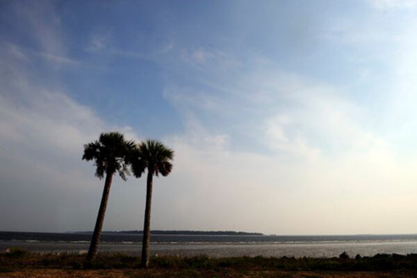 You can find graceful ocean vistas on St. Simons Island. Photo: Elissa Eubanks