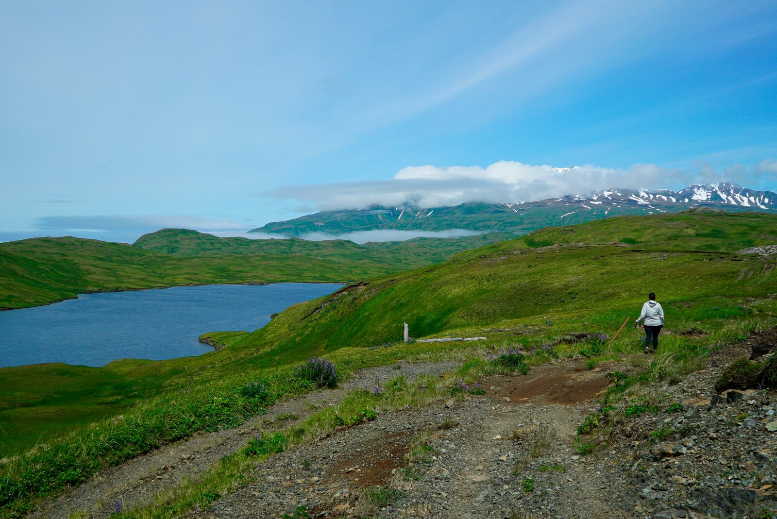 FILE - This July 8, 2021, photograph shows a hiker en route to Lake Bonnie Rose, one of many scenic hiking options on Adak Island, Alaska. (Nicole Evatt via AP, File)