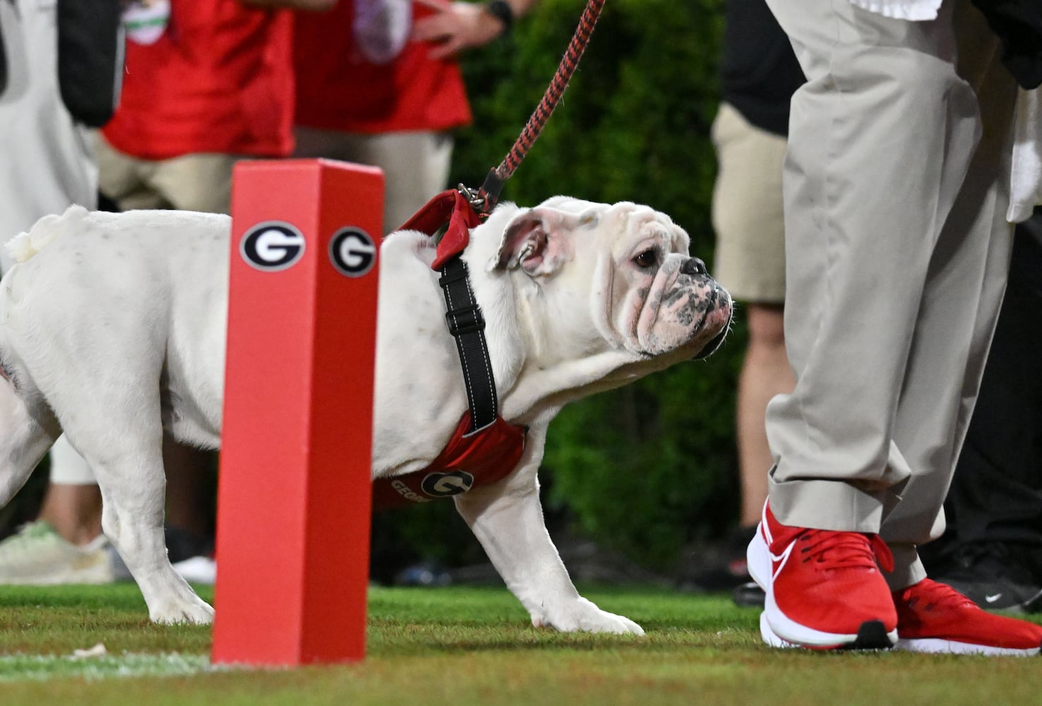 Georgia vs. UT Martin