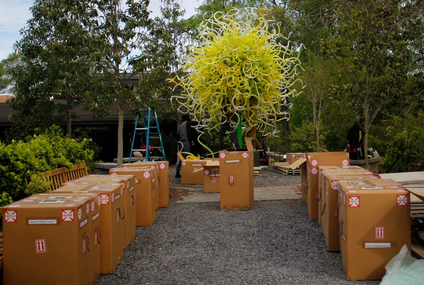 Chihuly Garden Installations | Atlanta Botanical Gardens