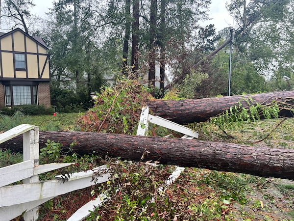 Downed trees in Augusta, GA following Hurricane Helene on September 27, 2024. (Photo Courtesy of Charmain Brackett)