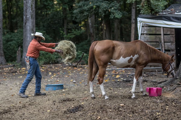 Billy Ray Thunder spreads hay on a ranch in Union City. BRANDEN CAMP / SPECIAL