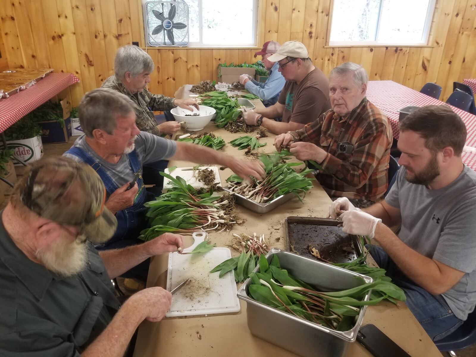 Ramps are prepared for the Ramp Tramp Festival in Polk County, Tennessee. Courtesy of the Ramp Tramp Festival