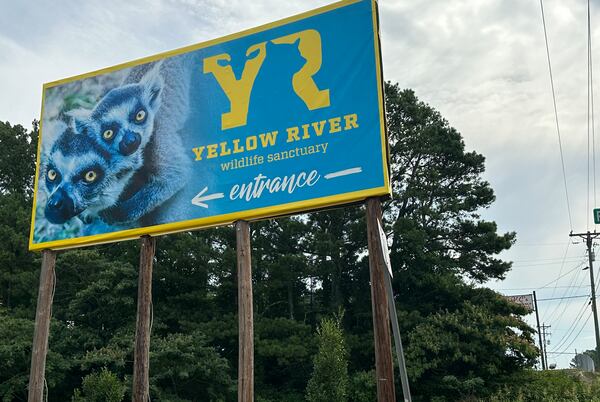 The Yellow River Animal Sanctuary in Lilburn has been run by the Ordway family since 2020. It features a royal palm turkey, spider monkeys, bison and black bears. RODNEY HO/rho@ajc.com