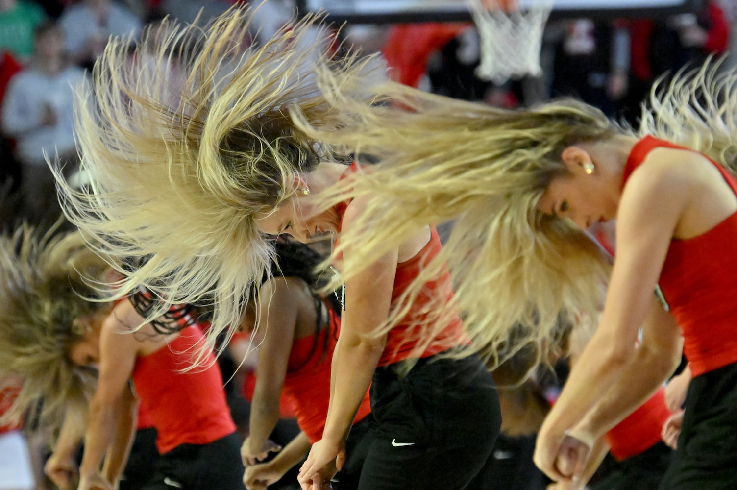 Georgia vs LSU basketball