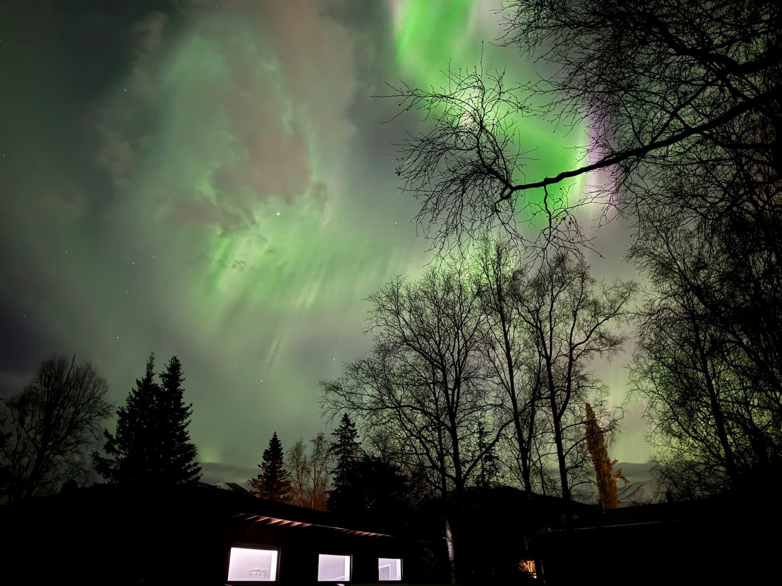 The northern lights appear over Anchorage, Alaska, early the morning of Friday, Oct.. 11, 2024. (AP Photo/Mark Thiessen)