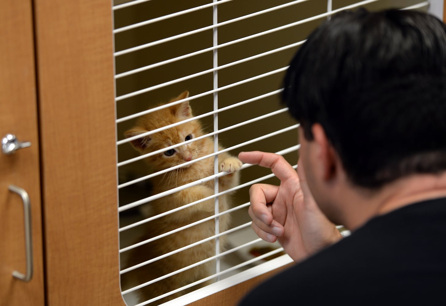 DeKalb opens new $12M animal shelter