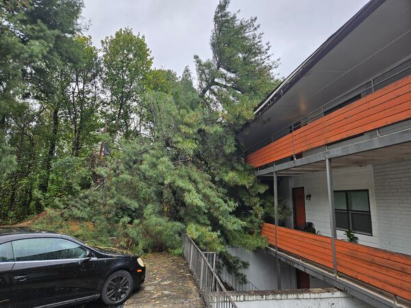 The massive tree blocked West Midtown resident Lashawn Gee and several of her neighbors at the The 500 apartments.