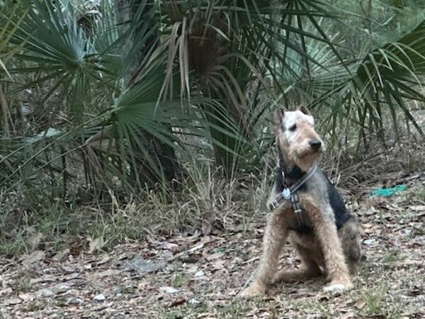 Carly Rassel on a recent camping trip with her pal, Rolie, and her person, Lisa Rassel.