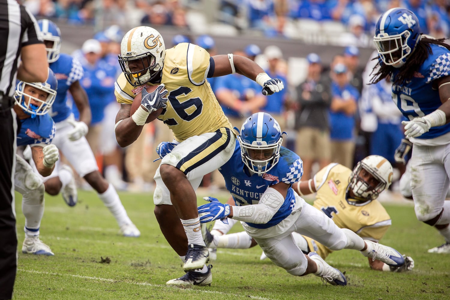 Jackets celebrate against the SEC