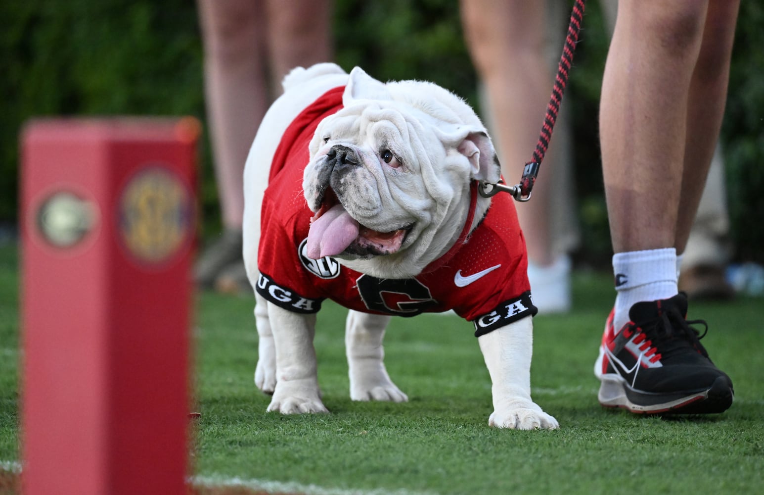 Georgia vs Auburn football