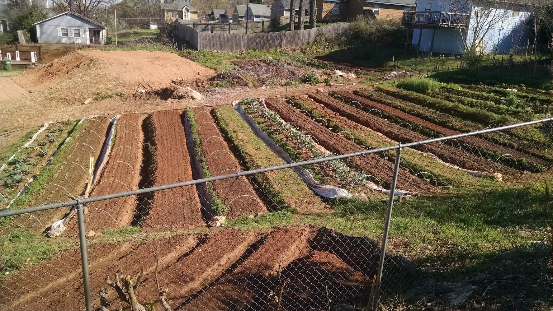 Freewheel 6 -- Urban farming in Atlanta