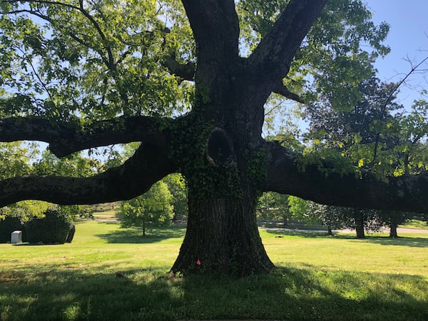 Susan Wietsma took this photo in Westview Cemetery.