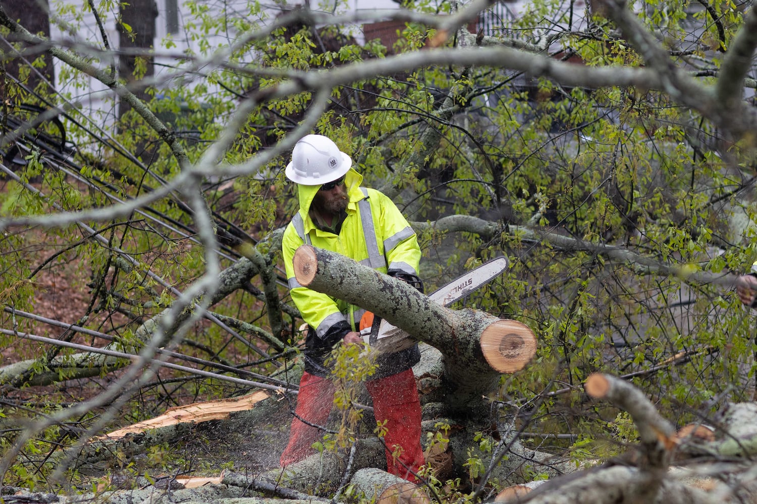 Strong storms bring down trees in Atlanta