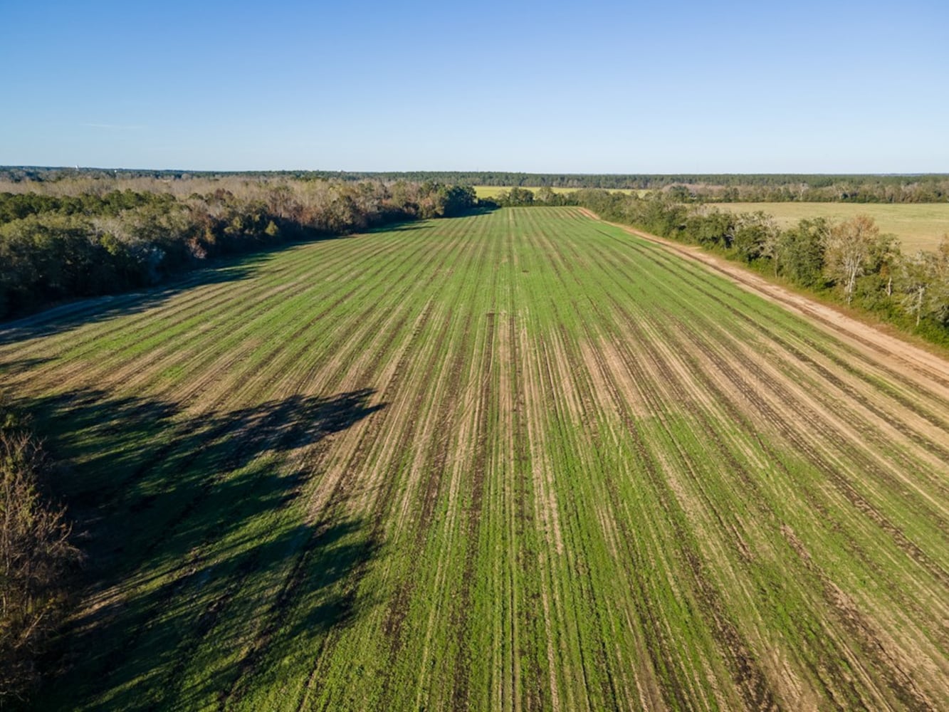 Still on the market, Historic Mill Rock Plantation listed under Georgia Trust’s ‘historic properties’