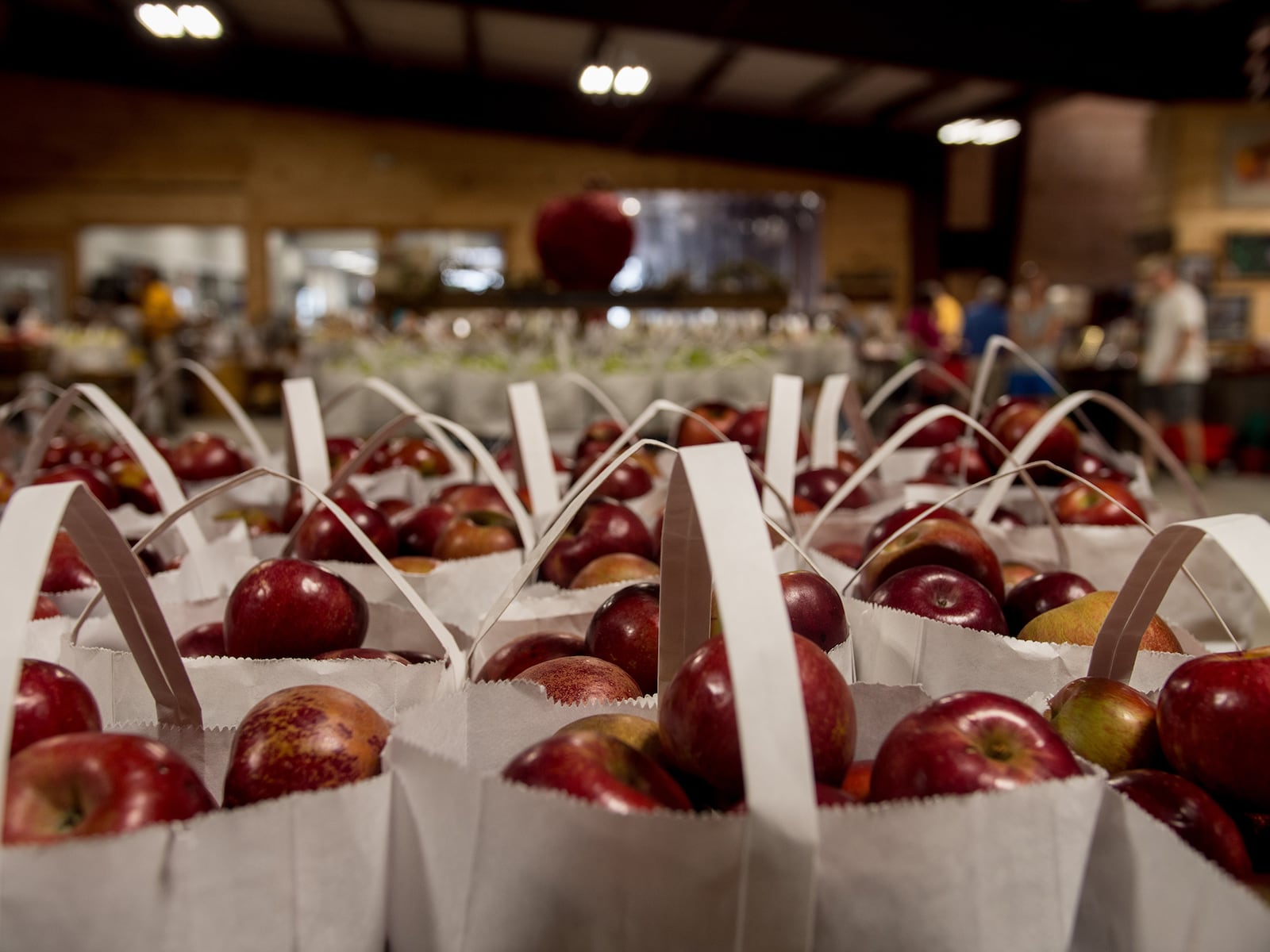 The Mercier Orchards farm store offers apples from the orchard and other local produce. The stores shelves are also filled with apple products from wine to hard cider to apple butter. 
Courtesy of Mercier Orchards