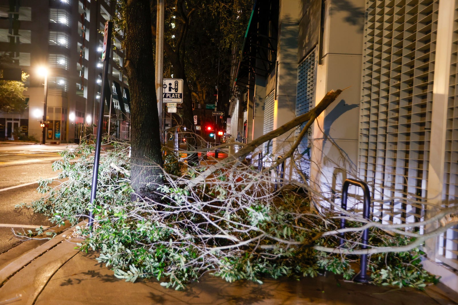 A tree falls on the sidewalk in downtown in the aftermath of Hurricane Milton on Thursday, Oct. 10, 2024, in Tampa. (Jefferee Woo/Tampa Bay Times via AP)